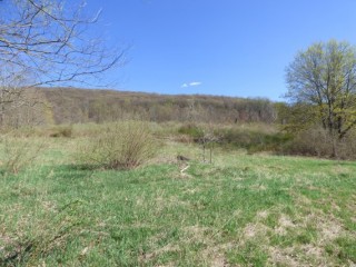 Bankruptcy Auction! 2 Story Home & 42± Acre Farm Land