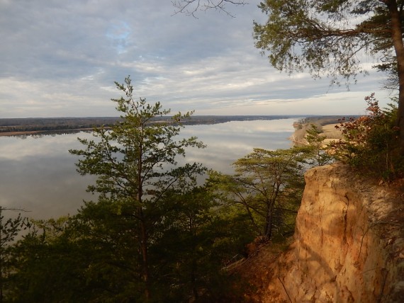 BANKRUPTCY SALE: 1,000+/- Stunning Acres in Richmond County VA (Fones Cliffs)